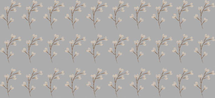 16oz Element-EN-1478